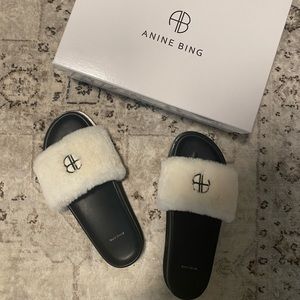 Anine Bing Slides, Never Worn, Size 39